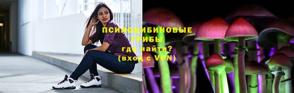 молекула духа Алексеевка